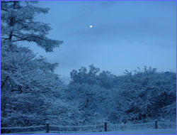 朝の戦場ヶ原の雪景色