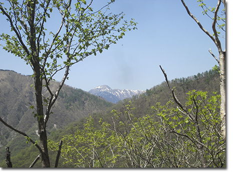 白根山