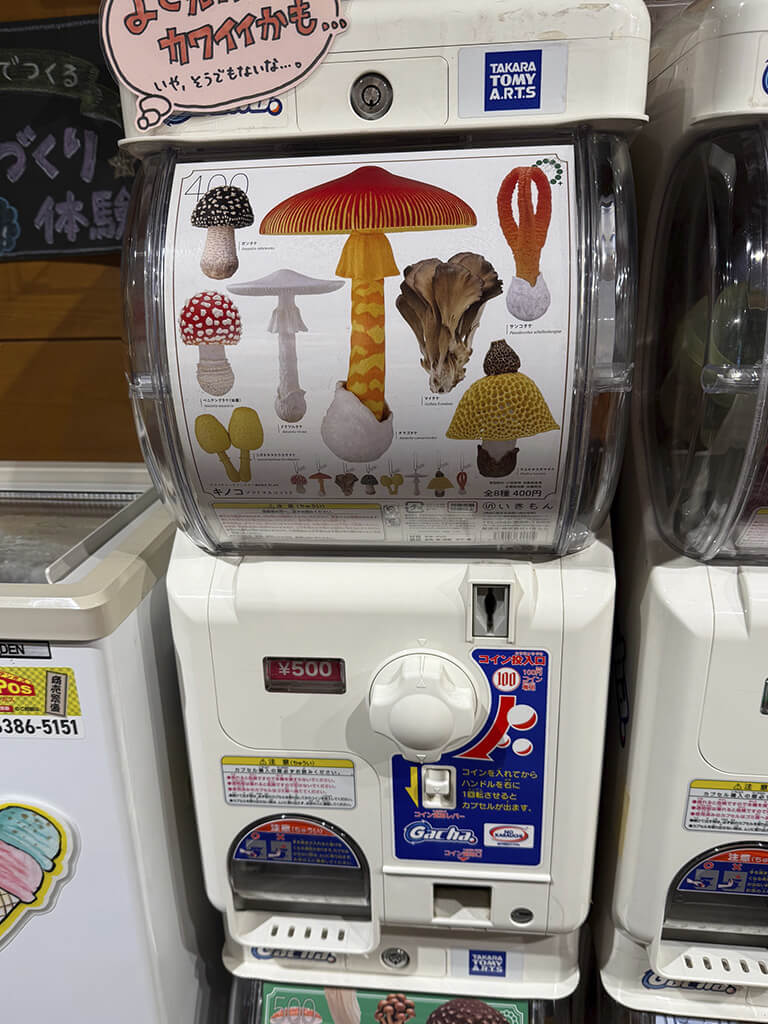 キノコのガチャ